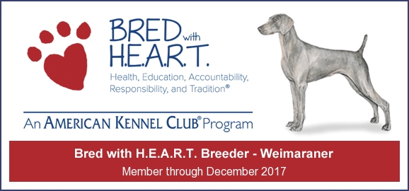 2016_weim_.jpg